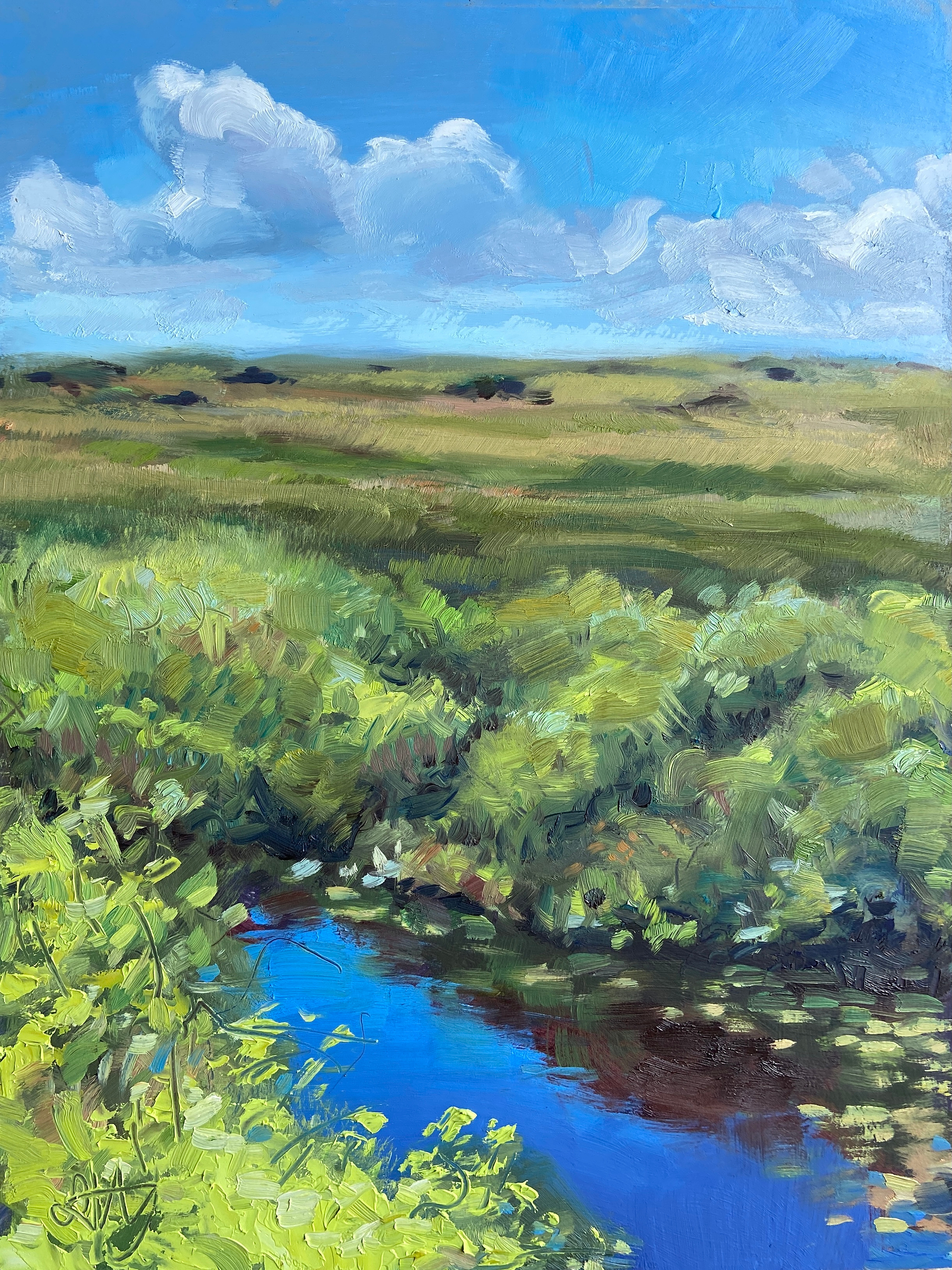Shark Valley 2.0, 2021
12 x 9 in. Oil on Panel
Shark Valley Observation Tower - Everglades National Park